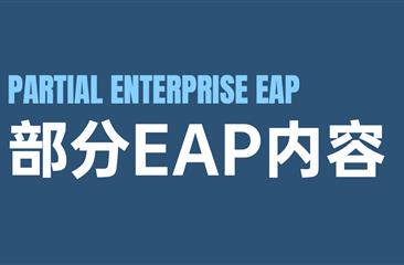 EAP部分项目